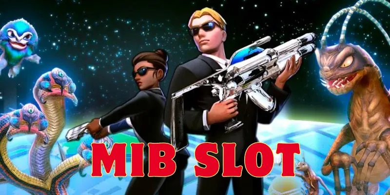 MIB Slot