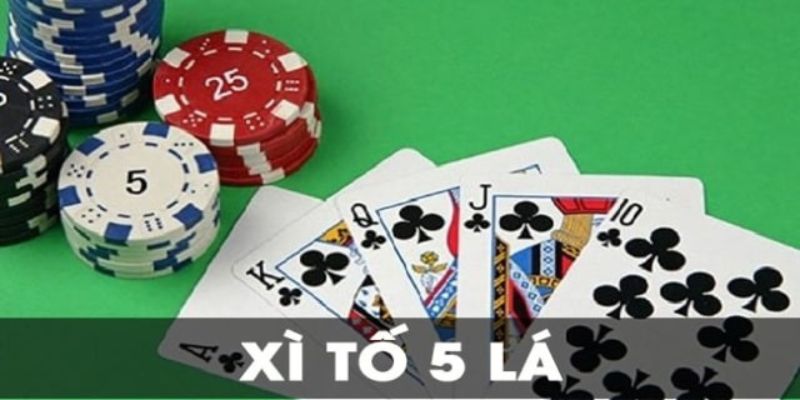 Xì tố 5 cây là lựa chọn hàng đầu cho game thủ